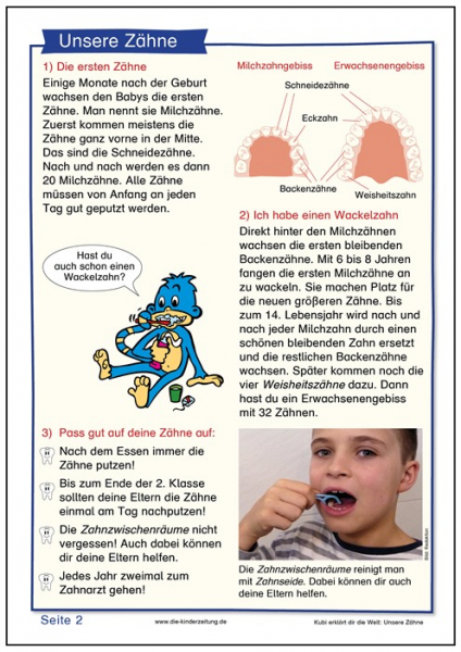 Unsere Zähne